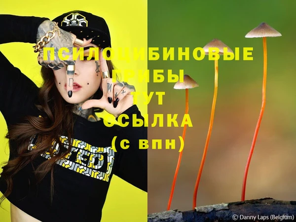 соль курить ск Алексин