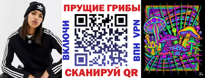 Галлюциногенные грибы MAGIC MUSHROOMS  что такое   Добрянка 
